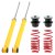 Coilovers bak SR VW Golf 4 (1997-2003)