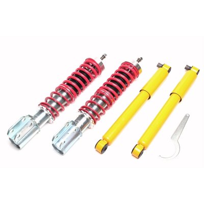 Coilovers Ta-Technix Renault Megane (1995-2002)