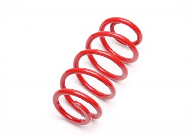 Bakre fjäder Ta-Technix VW Passat (3C)