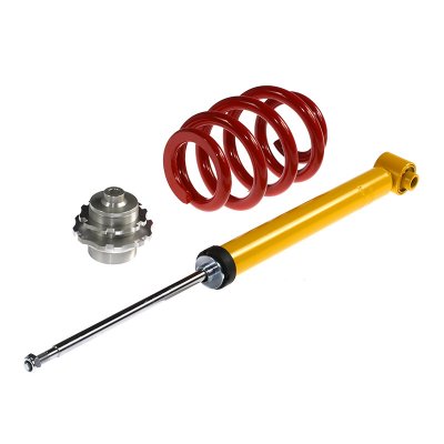 Coilovers Ta-Technix Audi S6 4F (2005-2010)