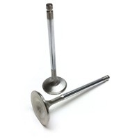 BC Insugsventiler rostfria (+1mm) - Mitsubishi Evo 9 4G63